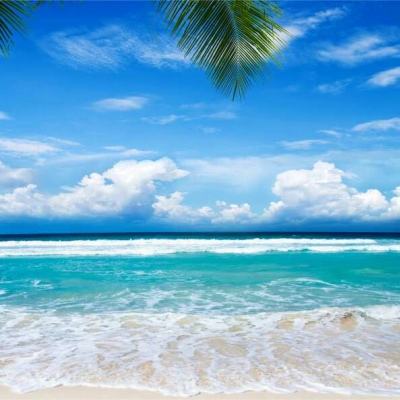 爱游体育APP官方入口